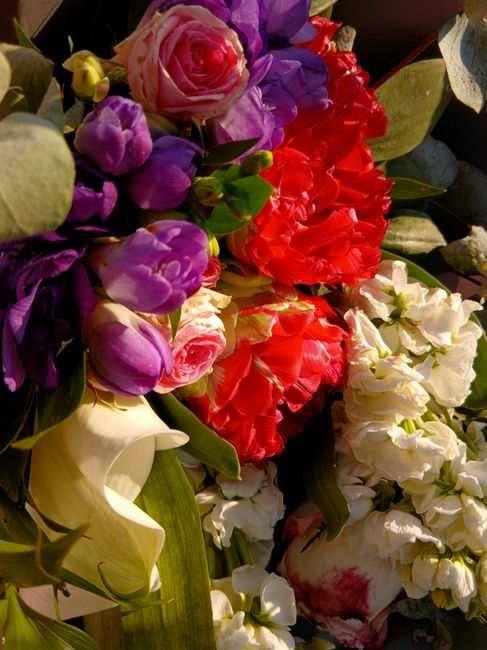 A vibrant floral arrangement featuring a variety of fresh flowers, including pink roses with layered petals, purple tulips with smooth, closed buds, red carnations with ruffled blooms, and white calla